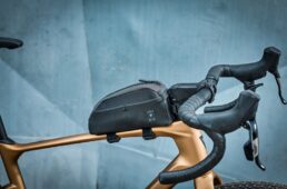 ジャイアント　SURGE／CHARGE