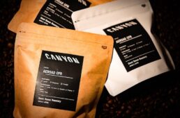 キャニオン　ZINE