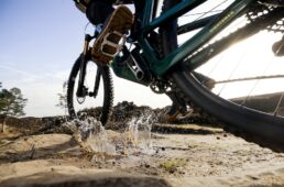 クランクブラザーズ　スタンプ エヴォ