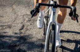 ジャイアント　SURGE／CHARGE