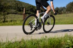 ジャイアント　SURGE／CHARGE