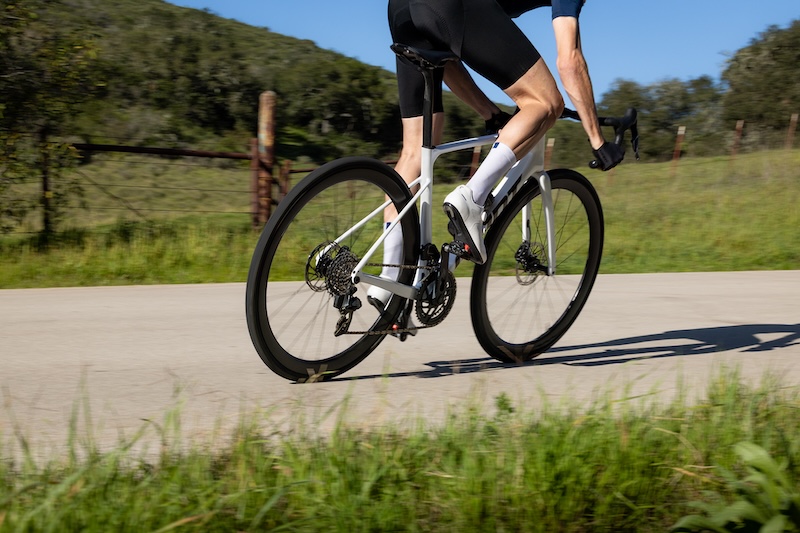 ジャイアント　SURGE／CHARGE