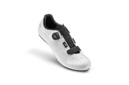 ジャイアント　SURGE／CHARGE