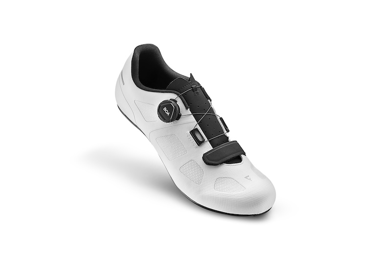 ジャイアント　SURGE／CHARGE