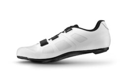 ジャイアント　SURGE／CHARGE