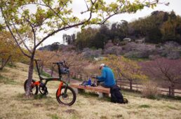 佐久間ダム親水公園にあるキャンプ場