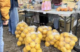 ダウンヒルシリーズ2026 第1戦 高知