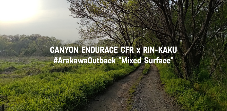 キャニオン・新型エンデュレース CFR