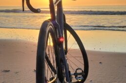 マグニックライト