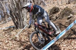 カミハギサイクル