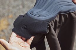 パッドの前方部