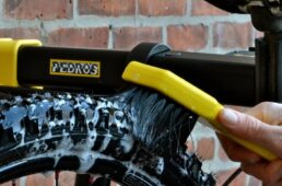 ペドロス　ルブ