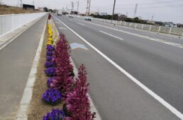 植栽されたりんりんロード