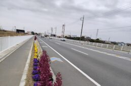 植栽されたりんりんロード