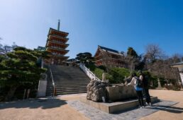 しまなみ海道「ちょいディープ」自転車旅
