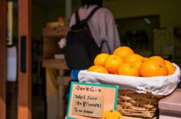 しまなみ海道「ちょいディープ」自転車旅