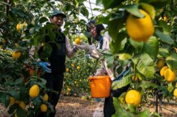 しまなみ海道「ちょいディープ」自転車旅