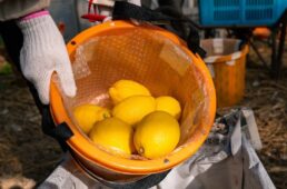 しまなみ海道「ちょいディープ」自転車旅