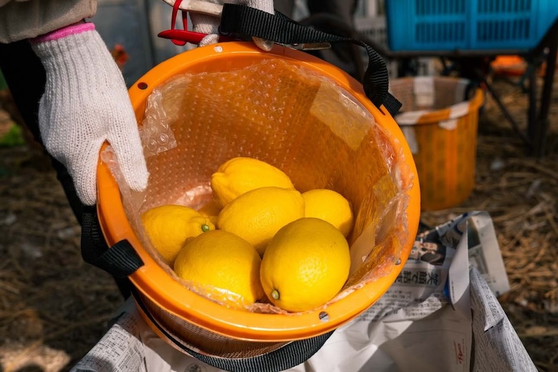 しまなみ海道「ちょいディープ」自転車旅