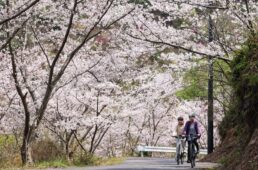 しまなみ海道「ちょいディープ」自転車旅