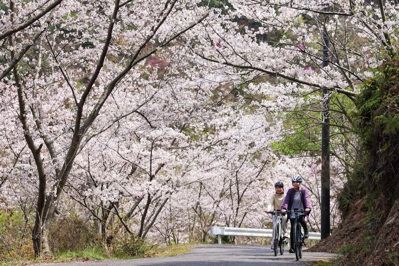 しまなみ海道「ちょいディープ」自転車旅