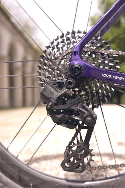 レコードXのリヤディレラー