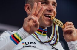 スペシャライズド　レムコ・エヴェネプール