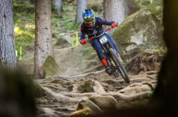 スペシャライズド DEMO11