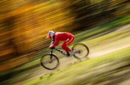 スペシャライズド DEMO11