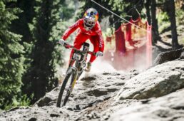 スペシャライズド DEMO11