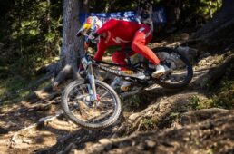 スペシャライズド DEMO11