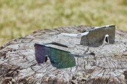 ペースステージ V