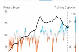 ワフーメトリック