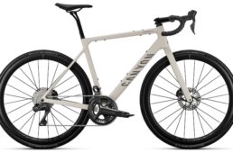 キャニオン　エンデュレース CF SLX／CF