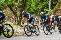 新城幸也　ツール・ド・熊野2026 第2ステージ